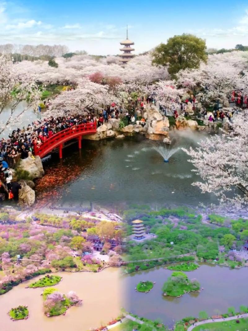 武汉休闲景点_武汉休闲哪里好_武汉休闲的地方