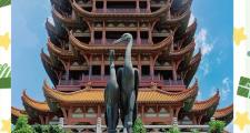 武汉魅力无限，东湖漫步赏景、黄鹤楼览胜好去处