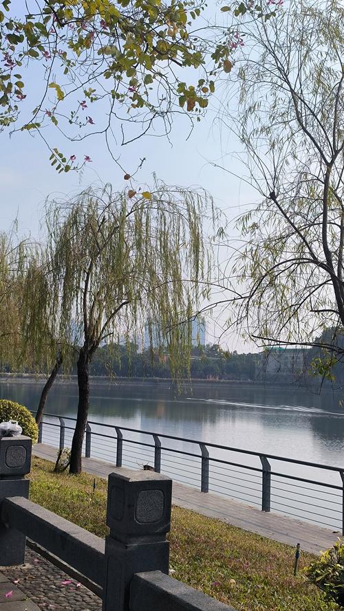 武汉市内休闲好去处_武汉休闲的地方_武汉休闲哪里好