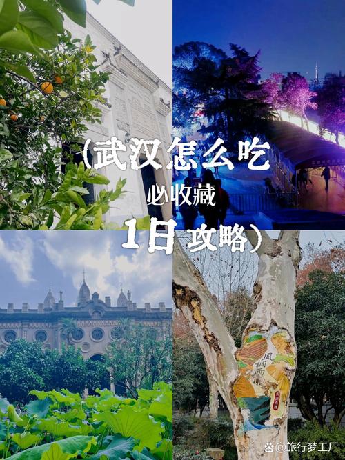 老同学在武汉迷失生活，我带他探寻休闲魅力寻平衡